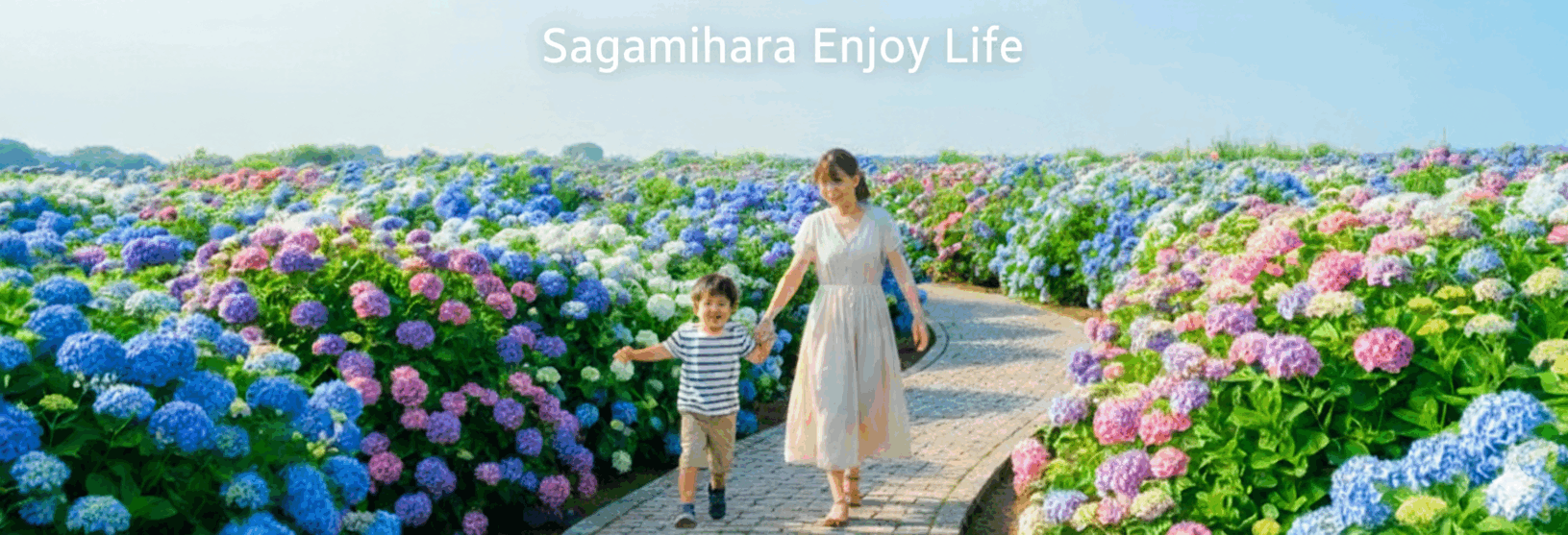 子供と犬と楽しもう！子連れでお出かけ【相模原えんじょいらいふ】